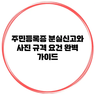 주민등록증 분실신고와 사진 규격 요건 완벽 가이드