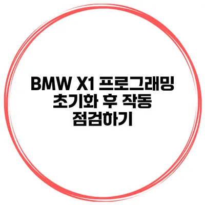BMW X1 프로그래밍 초기화 후 작동 점검하기