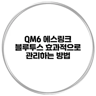 QM6 에스링크 블루투스 효과적으로 관리하는 방법