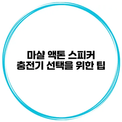 마샬 액톤 스피커 충전기 선택을 위한 팁