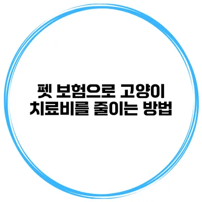 펫 보험으로 고양이 치료비를 줄이는 방법